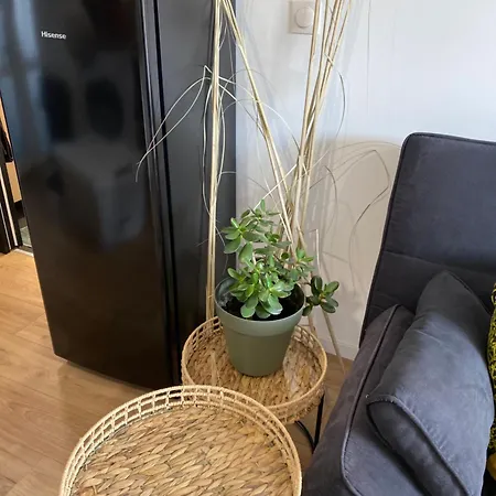 La Grange Eiffel Cosy Avec Parking Ferme Et Terrasse Wood